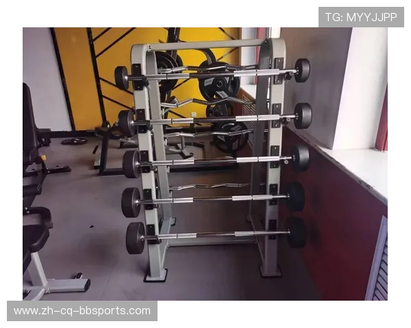 高效健身器材,助你塑造完美身材,提升锻炼乐趣与效果